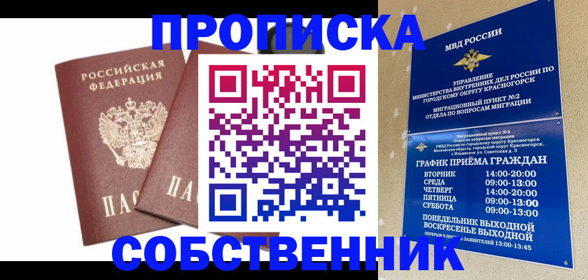 временная регистрация для школы в Сольцах